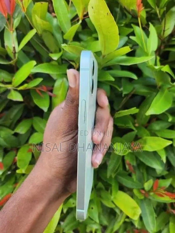 Apple iPhone 12 (Used)