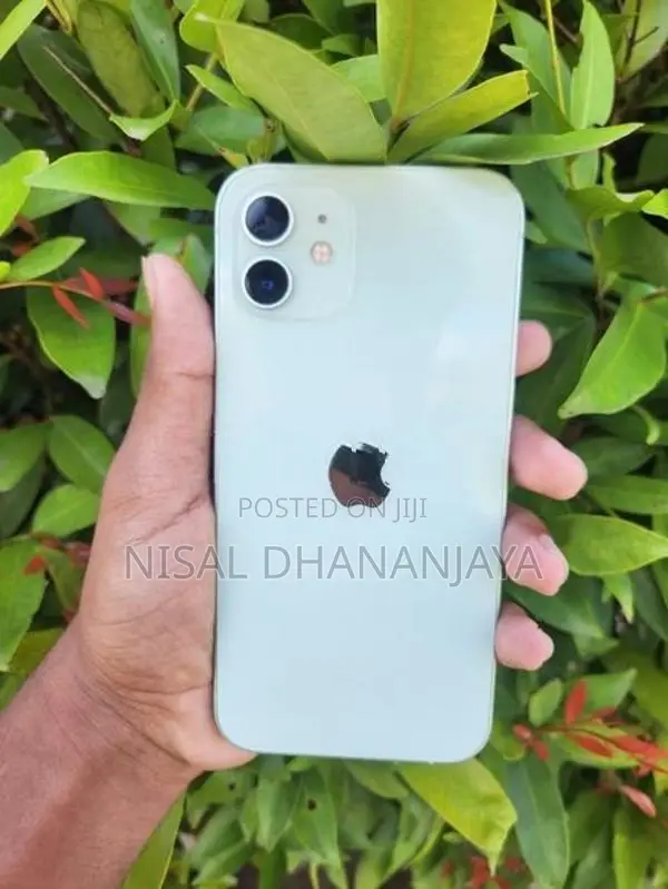 Apple iPhone 12 (Used)