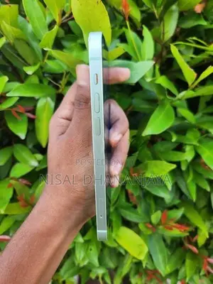 Apple iPhone 12 (Used)