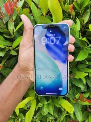 Apple iPhone 12 (Used)