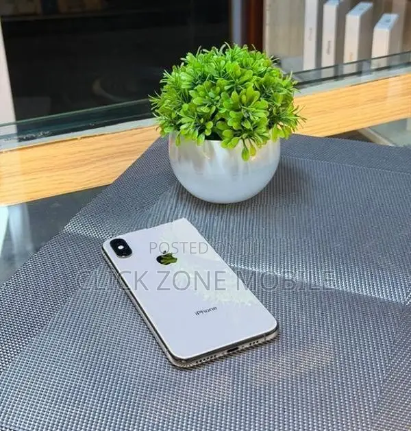 Apple iPhone XS 512GB (Used)