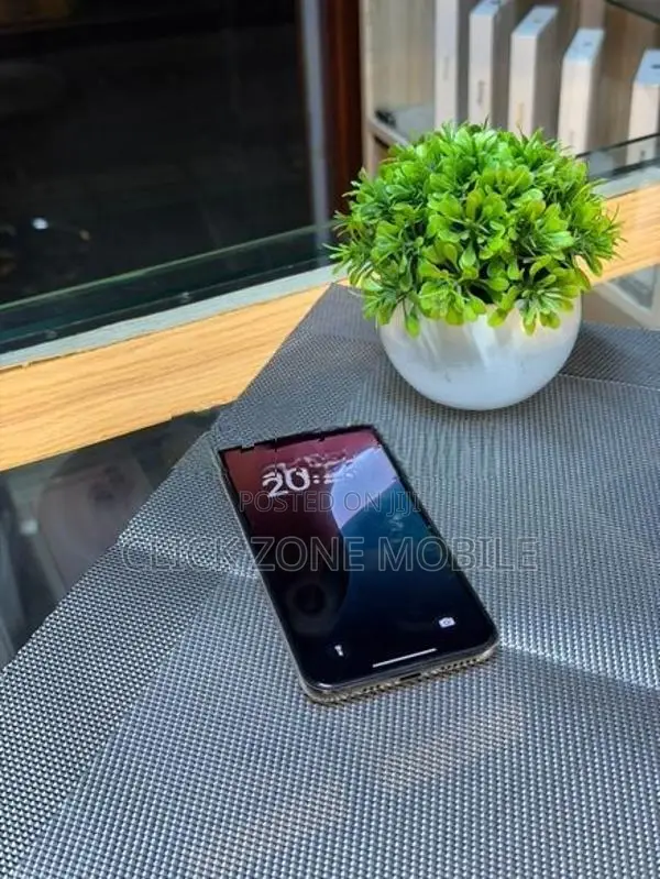 Apple iPhone XS 512GB (Used)