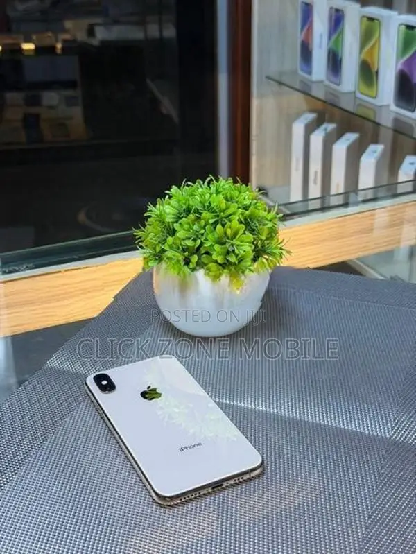 Apple iPhone XS 512GB (Used)