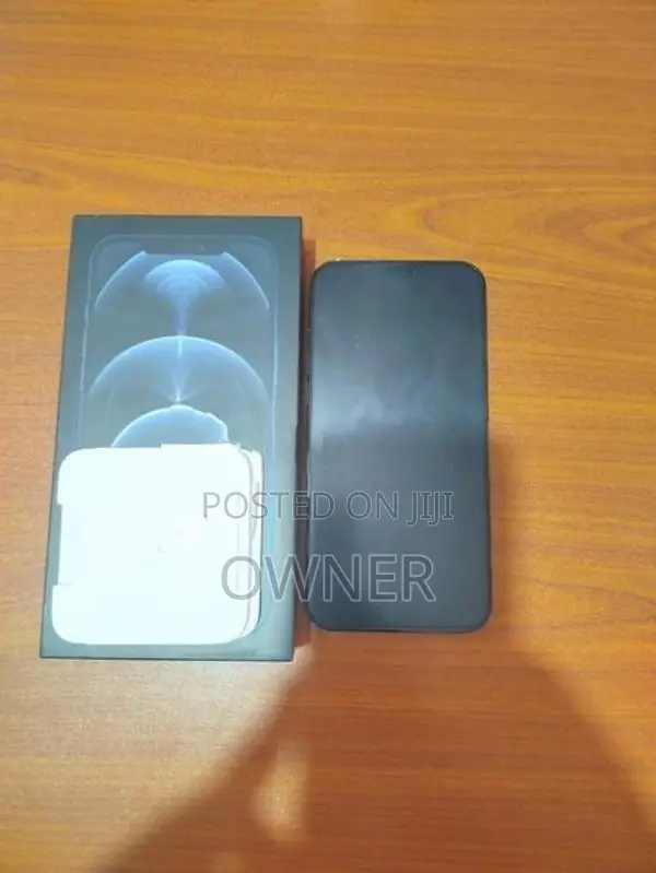 Apple iPhone 12 Pro Max (Used)