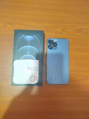 Apple iPhone 12 Pro Max (Used)