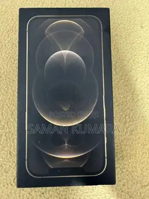 Apple iPhone 12 Pro Max (Used)