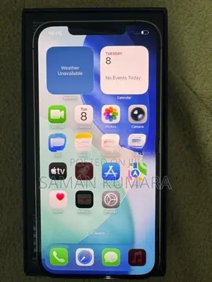 Apple iPhone 12 Pro Max (Used)