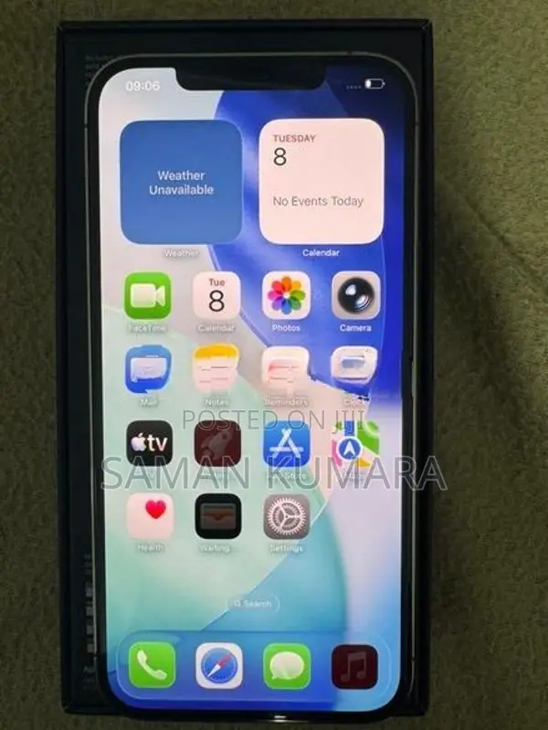 Apple iPhone 12 Pro Max (Used)