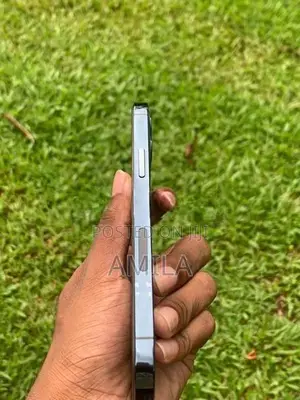 Apple iPhone 12 Pro (Used)