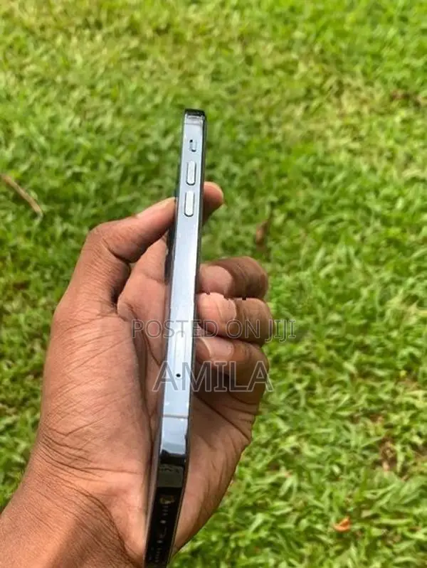 Apple iPhone 12 Pro (Used)