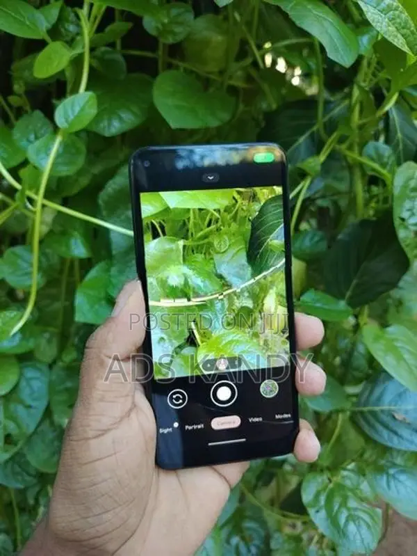 Google Pixel 5 (Used)