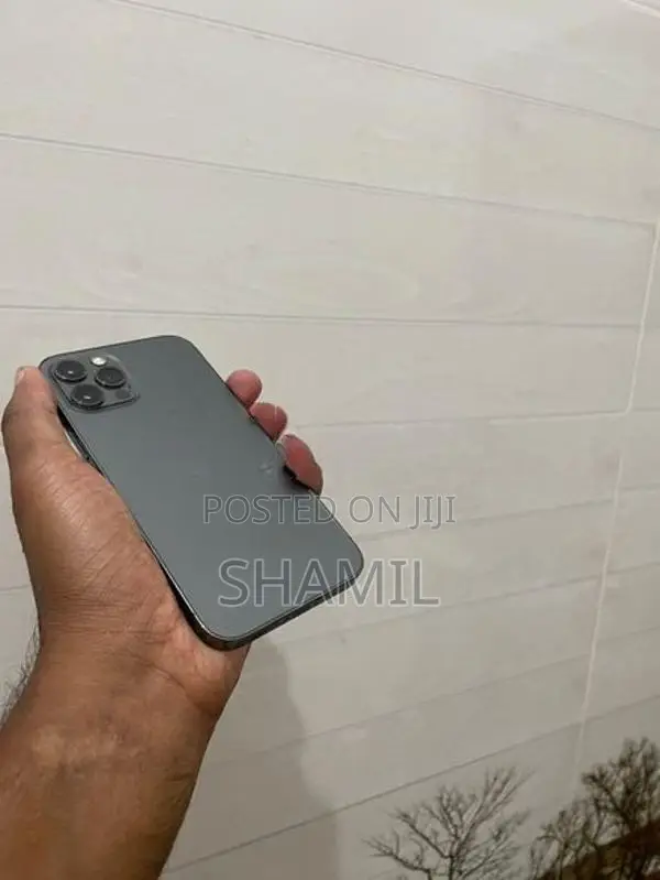 Apple iPhone 12 Pro (Used)