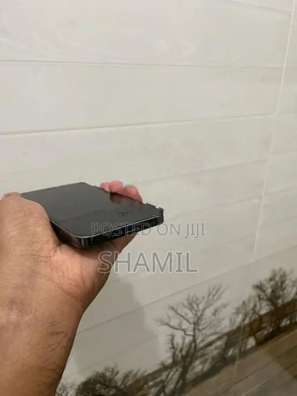 Apple iPhone 12 Pro (Used)