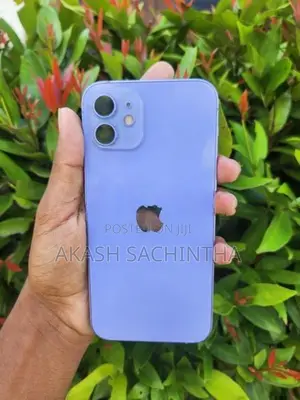 Apple iPhone 12 (Used)