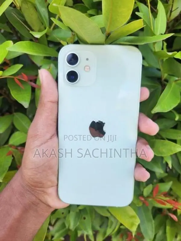 Apple iPhone 12 (Used)