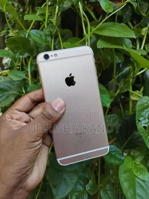 Apple iPhone 6S Plus (Used)