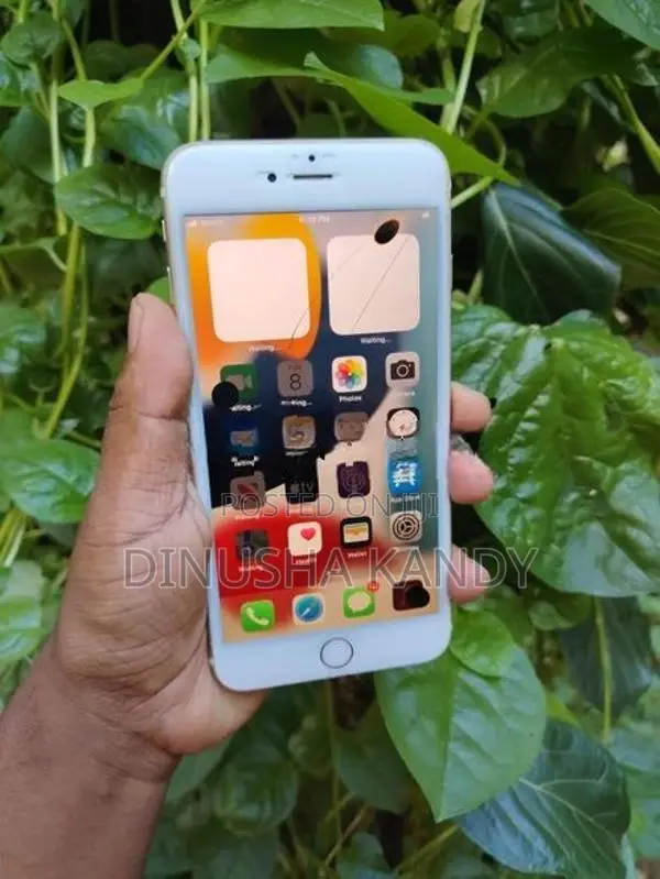 Apple iPhone 6S Plus (Used)