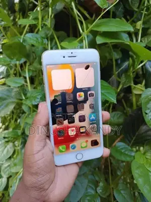 Apple iPhone 6S Plus (Used)