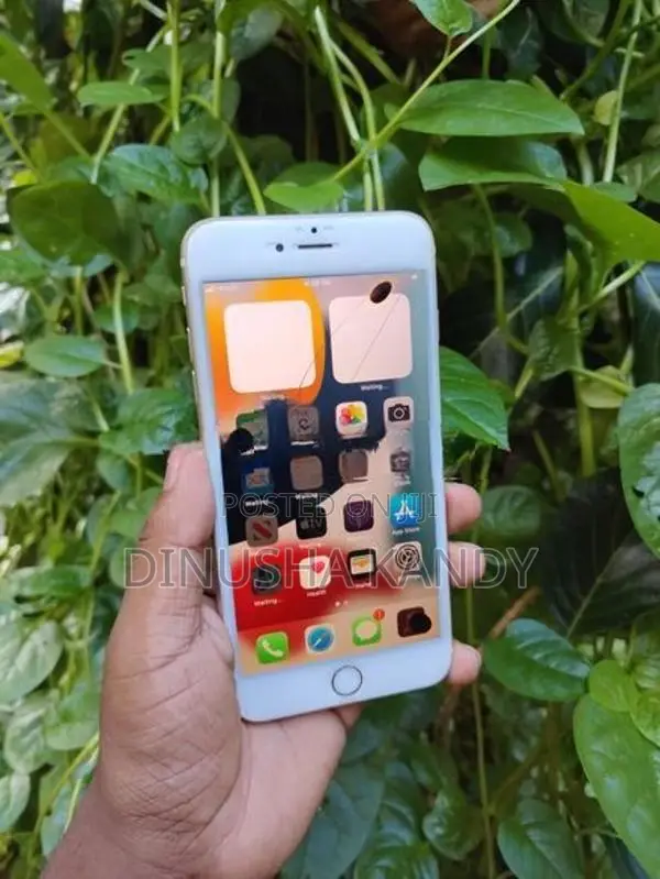Apple iPhone 6S Plus (Used)