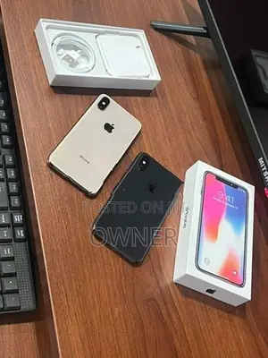 Apple iPhone X 256GB (Used)