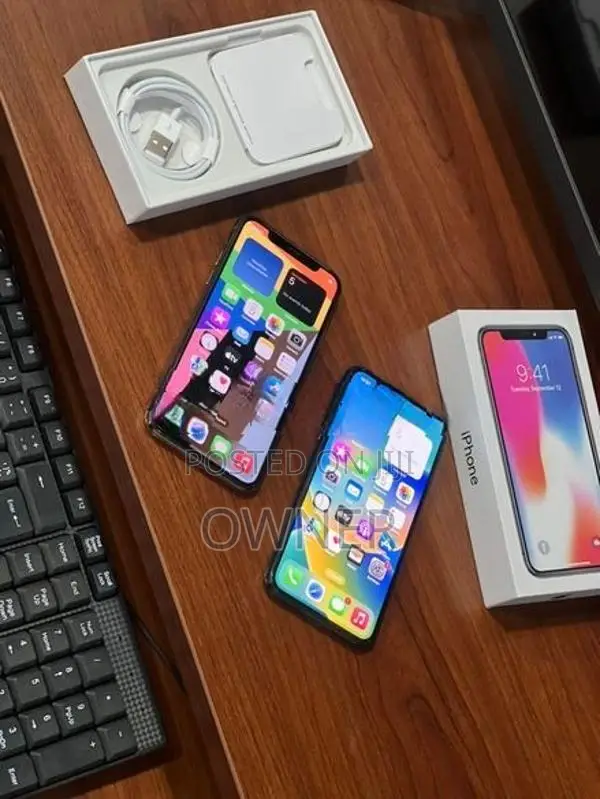 Apple iPhone X 256GB (Used)