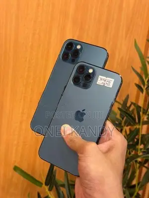 Apple iPhone 12 Pro 256GB (Used)