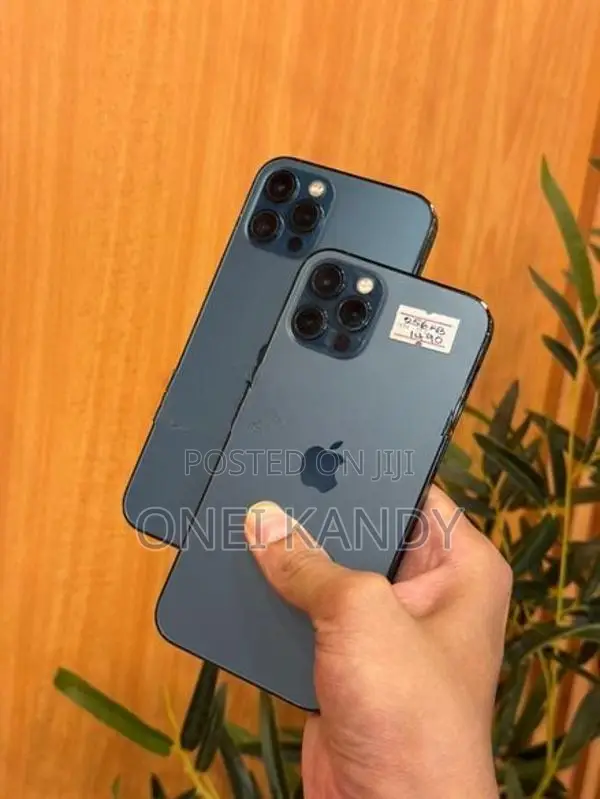 Apple iPhone 12 Pro 256GB (Used)