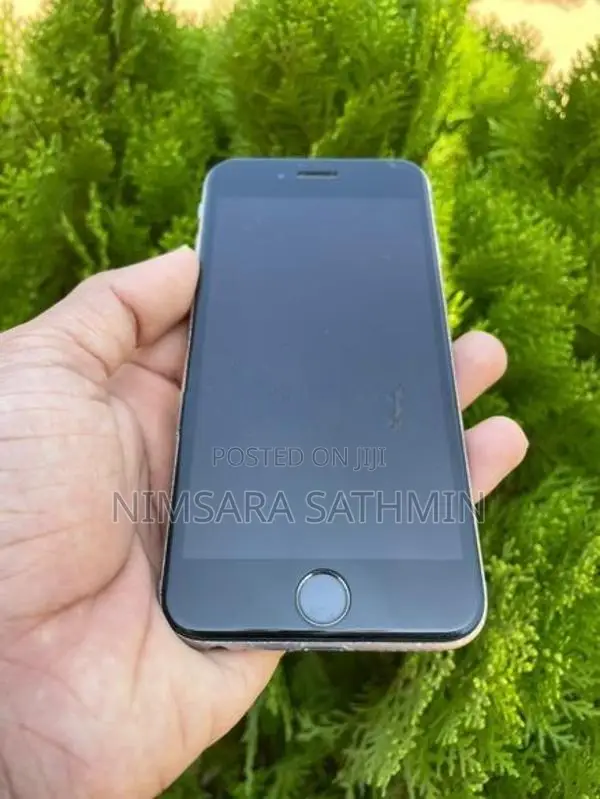 Apple iPhone 6S (Used)