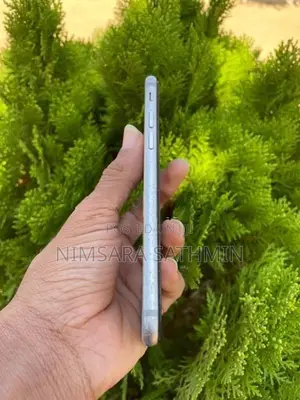 Apple iPhone 6S (Used)