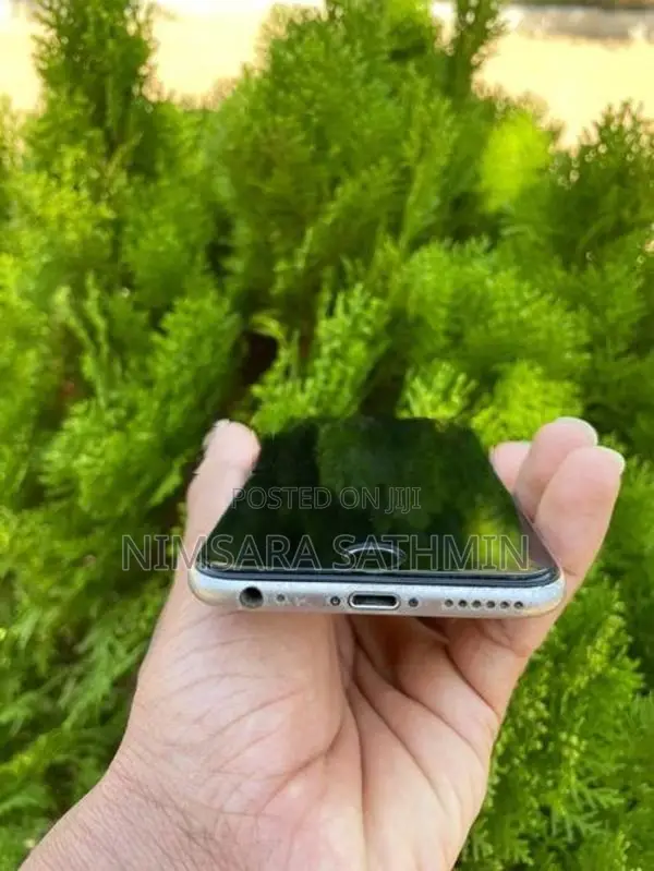 Apple iPhone 6S (Used)