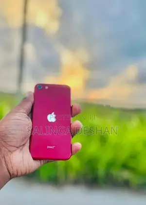 Apple iPhone SE 3 (Used)