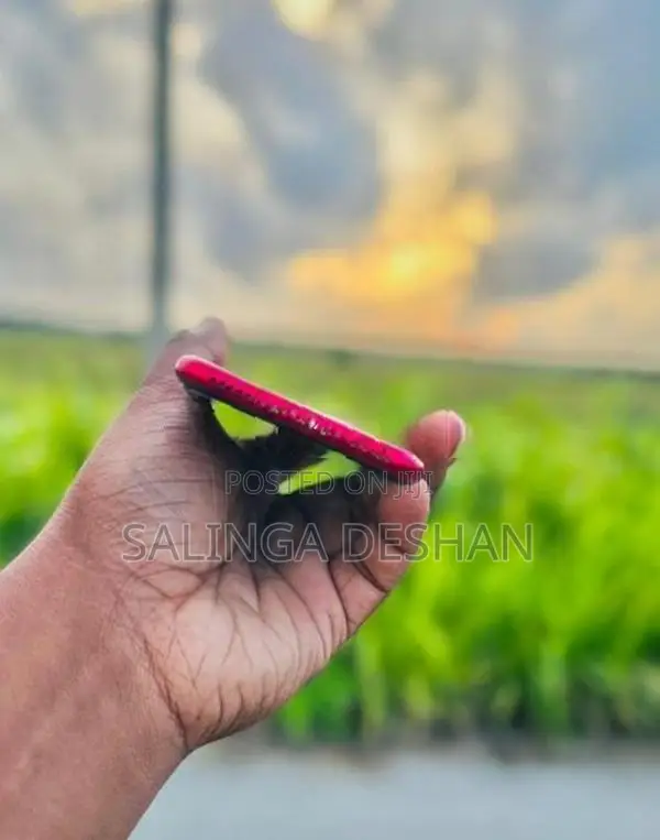 Apple iPhone SE 3 (Used)