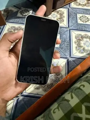 Apple iPhone 12 mini (Used)