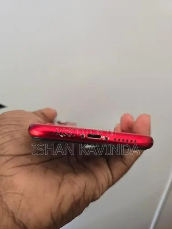 Apple iPhone 11 (Used)