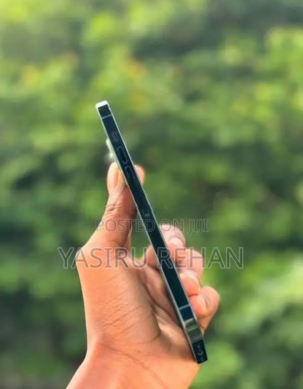 Apple iPhone 13 Pro Max (Used)