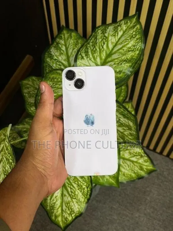 Apple iPhone 14 Plus 256GB (Used)