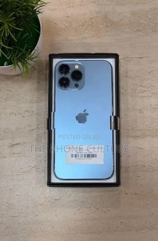 Apple iPhone 13 Pro Max 256GB (Used)