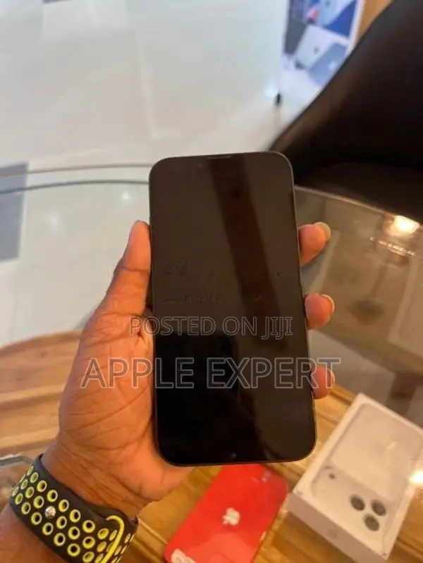 Apple iPhone 13 (Used)