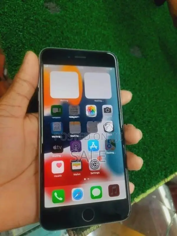 Apple iPhone 6S Plus (Used)