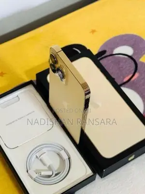 Apple iPhone 13 Pro Max (Used)
