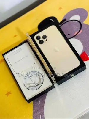 Apple iPhone 13 Pro Max (Used)