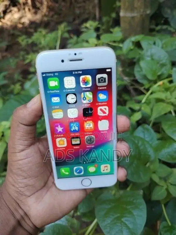 Apple iPhone 6 16GB Zpa (Used)
