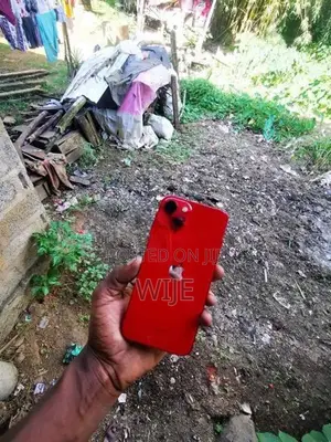 Apple iPhone 13 (Used)