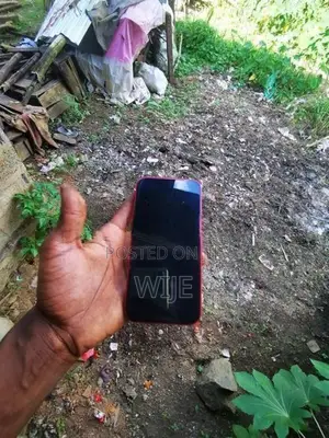 Apple iPhone 13 (Used)