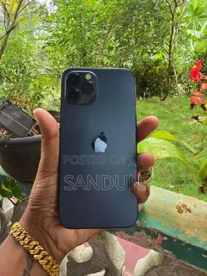 Apple iPhone 12 Pro (Used)