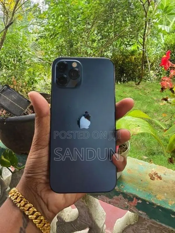 Apple iPhone 12 Pro (Used)