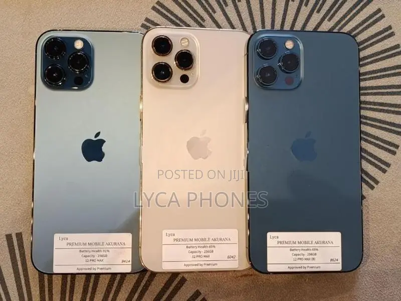 Apple iPhone 12 Pro Max 256GB (Used)