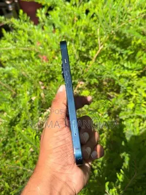 Apple iPhone 14 (Used)