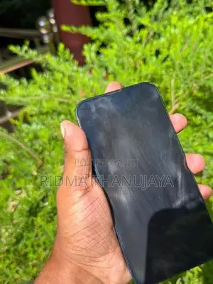 Apple iPhone 14 (Used)