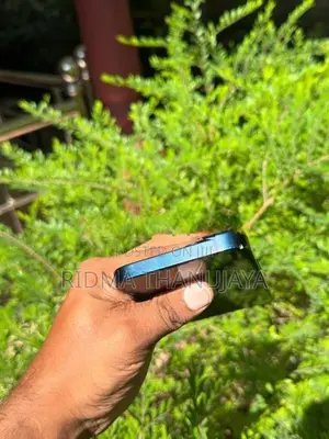 Apple iPhone 14 (Used)